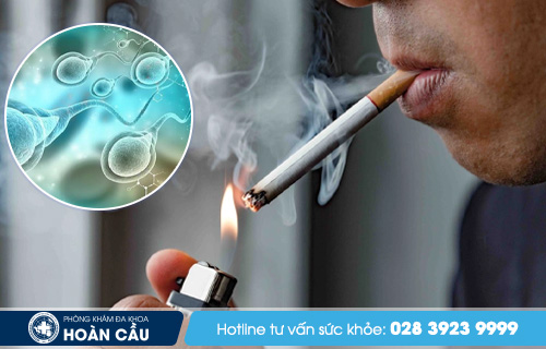 Hút thuốc lá ảnh hưởng tới sức khỏe sinh sản như thế nào? Hut-thuoc-la-anh-huong-toi-suc-khoe-sinh-san-nhu-the-nao