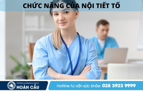 Chức năng nội tiết tố nữ